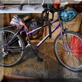 L14. Mt Fury 10-speed Roadmaster bike 